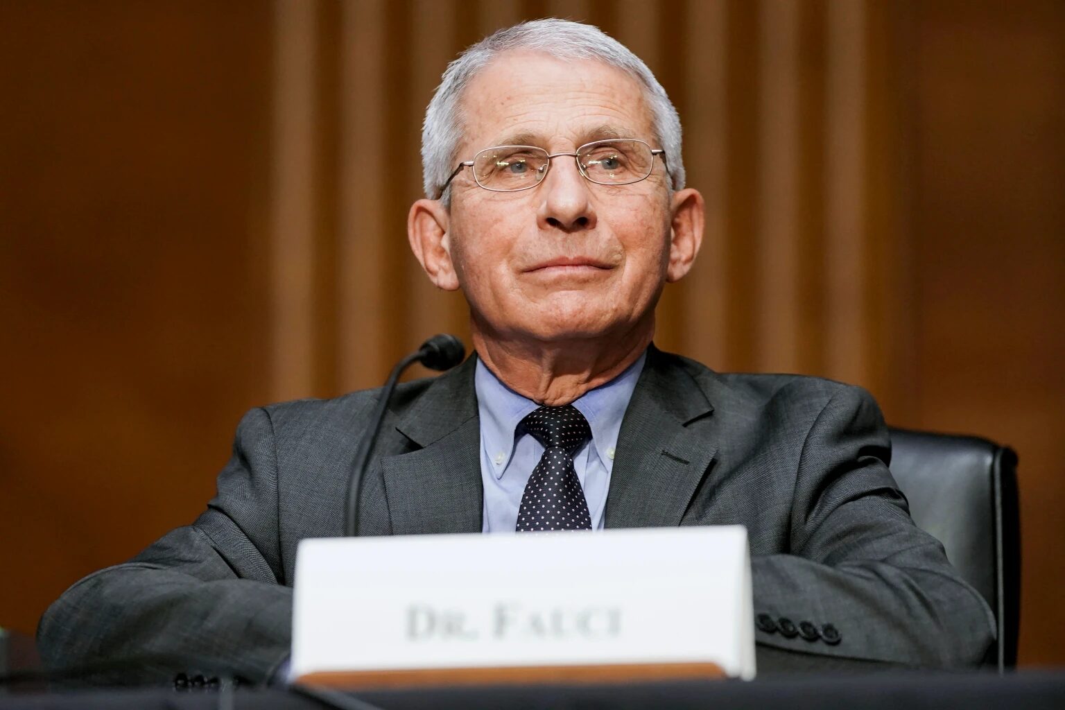 dr fauci