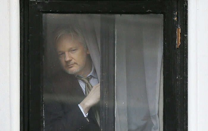 assange window curtain