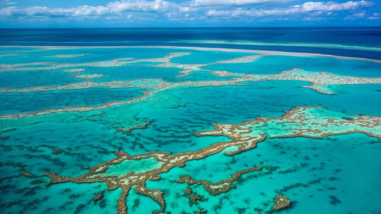 great barrier reef