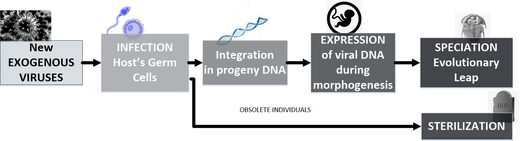 From a new exogenous virus to the apparition of a new species