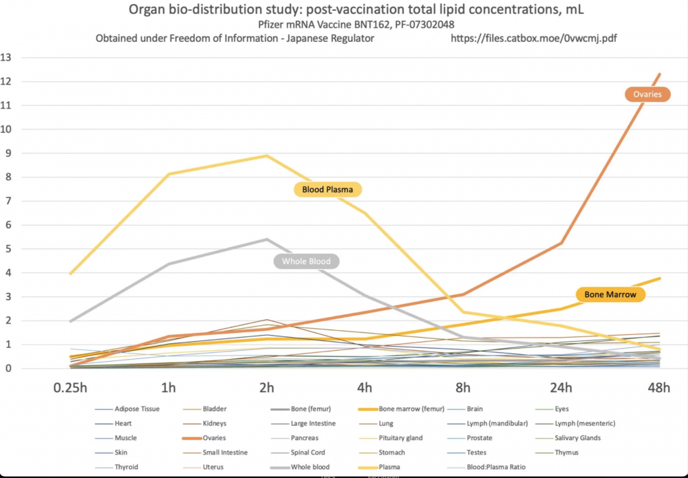 Bio-distribution of the Pfizer vaccine by organs