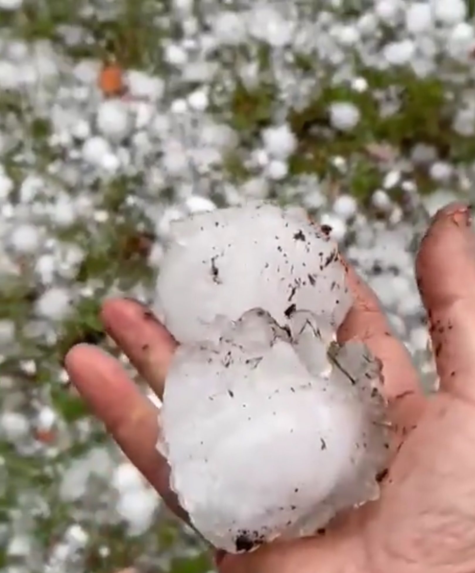 HAIL