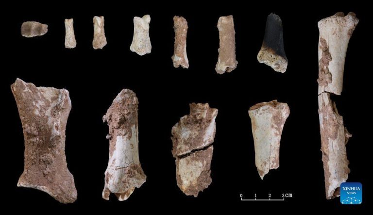 Click to enlarge stone tools cave china