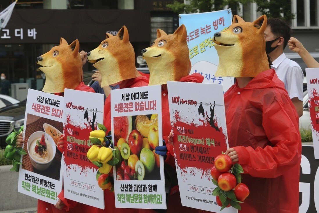 Click to enlarge dog meat korea protest
