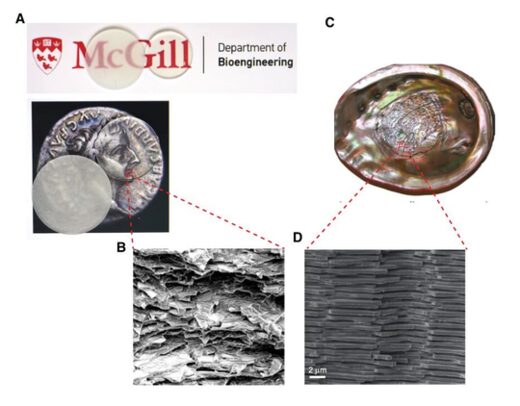 Click to enlarge Glass Compsite