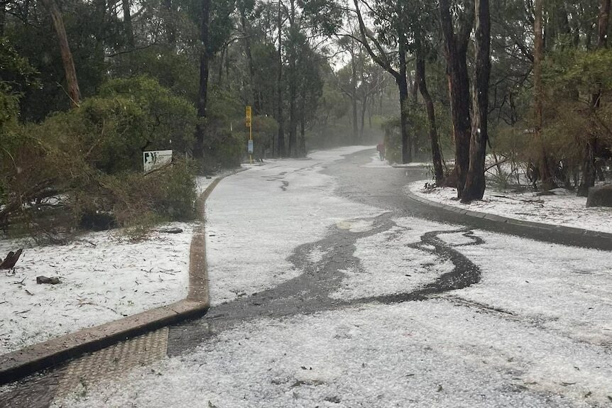 Hail at Cleland Wildlife Park near Mount Lofty in the Adelaide Hills.