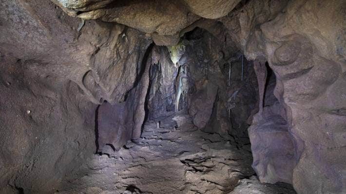 vanguard cave gibralter neanderthals