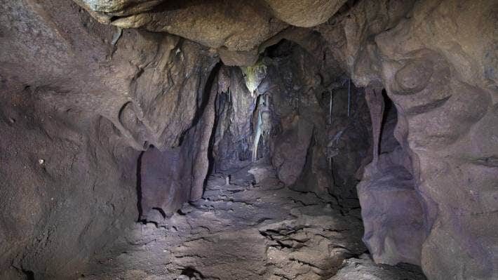 Click to enlarge vanguard cave gibralter neanderthals