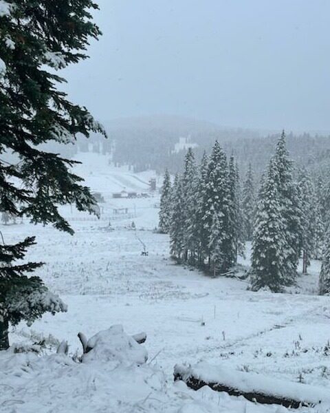 Click to enlarge snow
