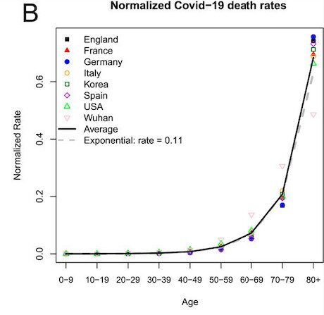 normalized death rates