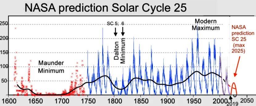 Solar cycle 25