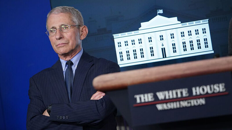 fauci whitehouse