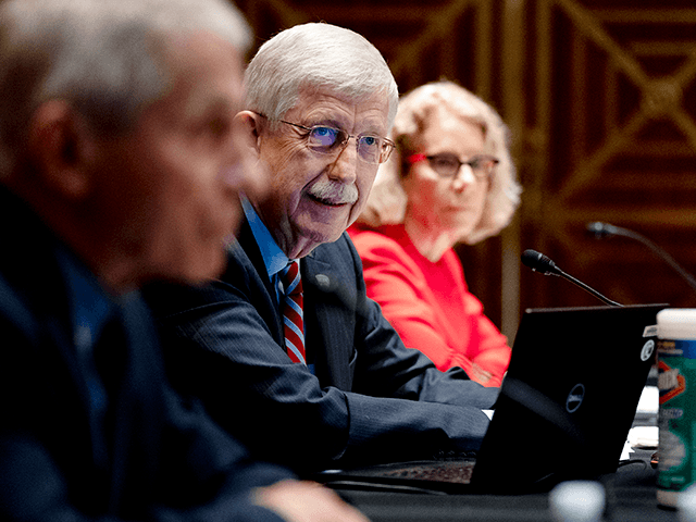 fauci collins diana bianchi vaccine mandate hearings