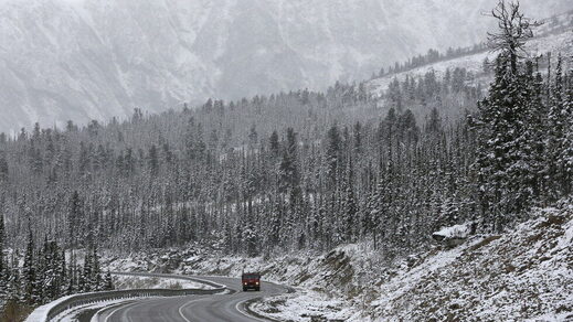 A truck drives along the M54 'Yenisei' highway