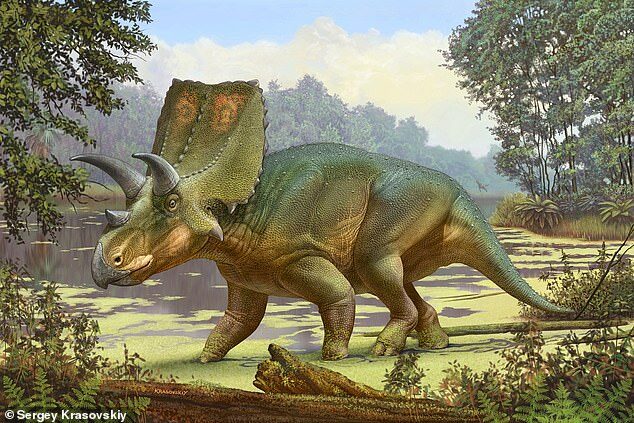 Click to enlarge triceratops relative new mexico