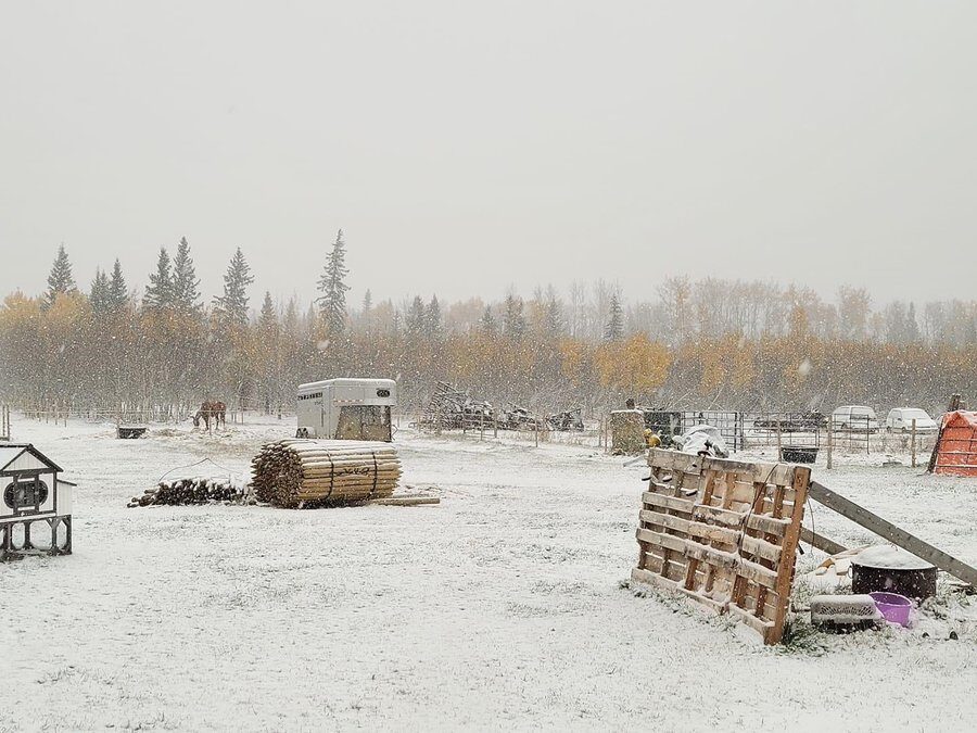 Click to enlarge snow
