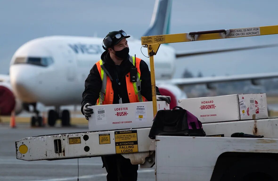 Click to enlarge Airport ground worker