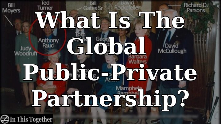 What Is the Global Public-Private Partnership