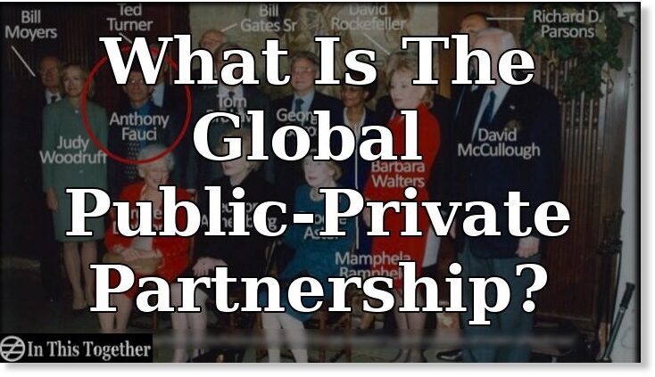 New World Disorder: What is the Global Public-Private Partnership? --  Puppet Masters -- Sott.net