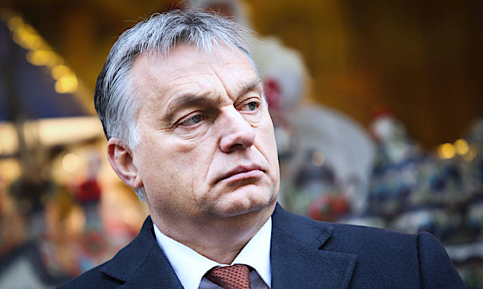 Click to enlarge Orban