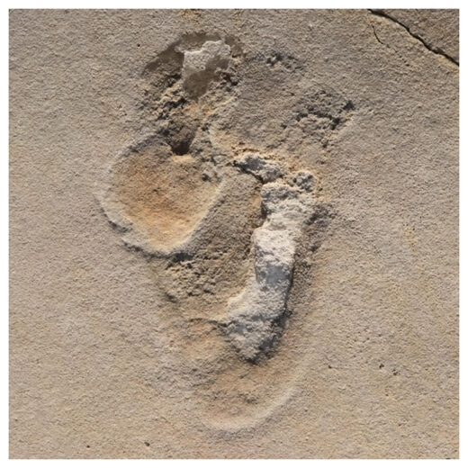 Footprint in Crete