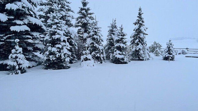 snow