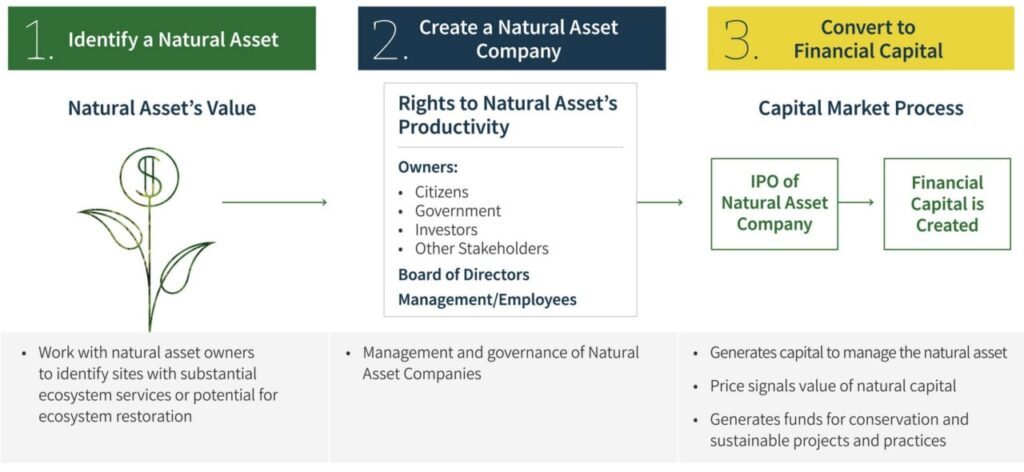 Click to enlarge signals the value of its natural capital.