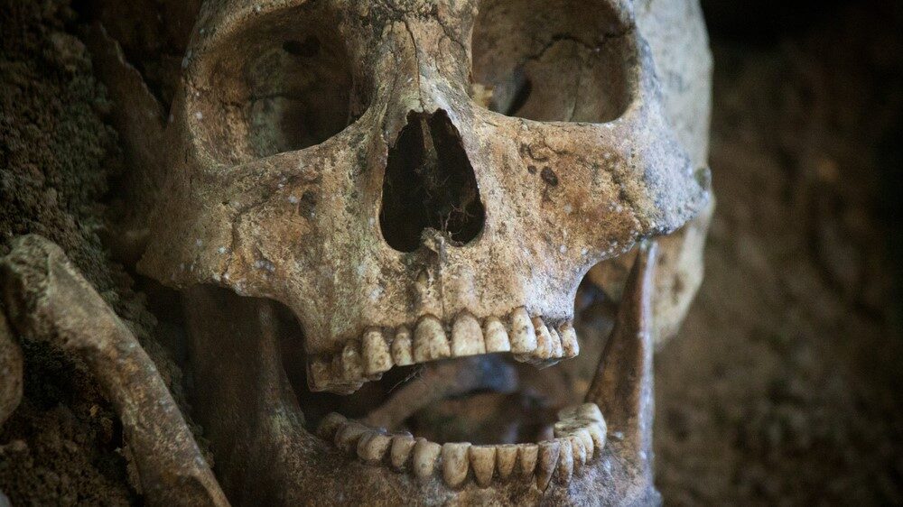 Ancient Skull