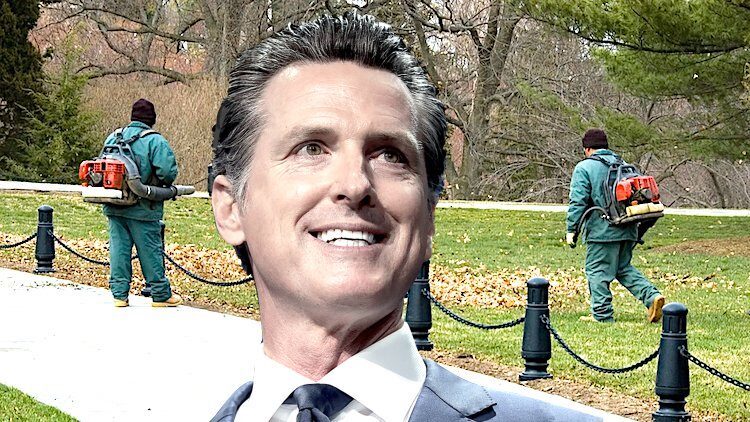 Click to enlarge Newsom leafblowers