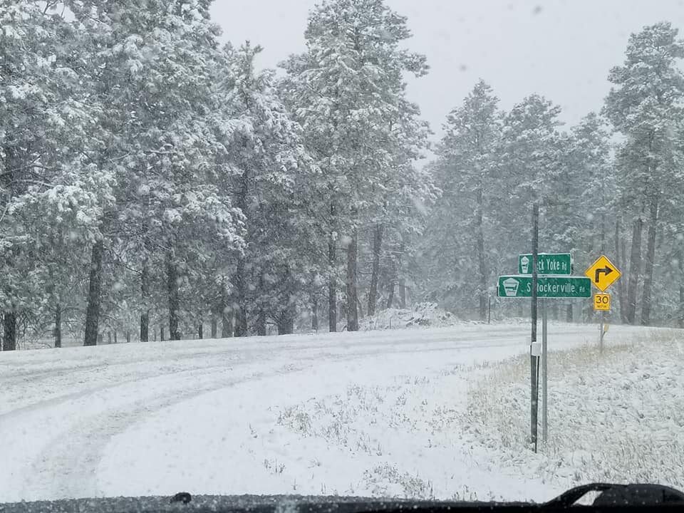 Click to enlarge Snowfall photographed in Rockerville on Tuesday, October 12, 2021.