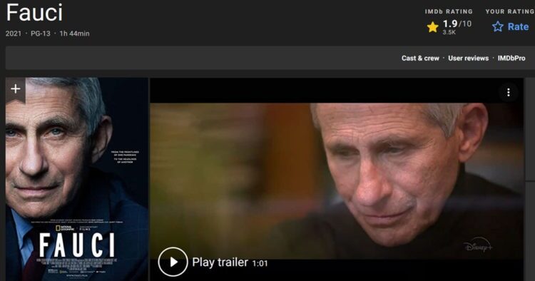 fauci movie imdb