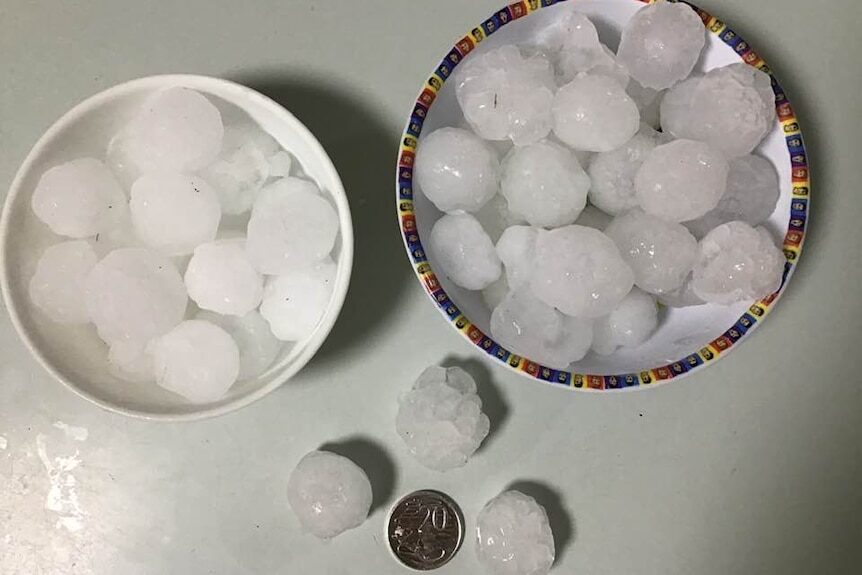 Click to enlarge Golf-ball-sized hail collected in a Wiggles bowl in north-west Sydney.