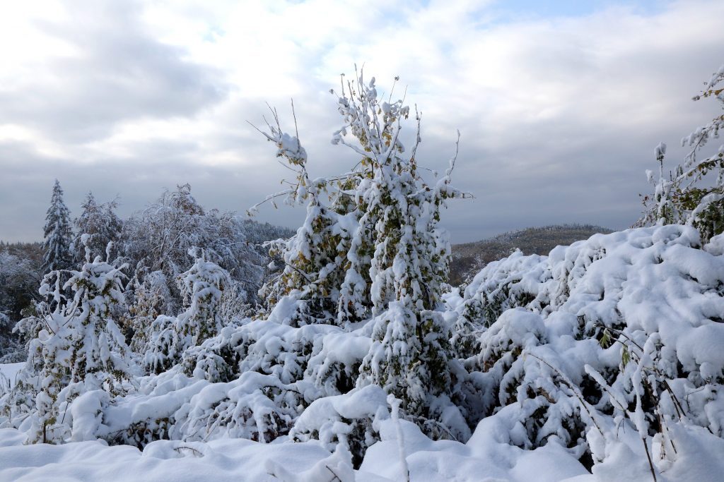 Click to enlarge snow