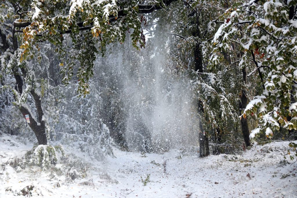 Click to enlarge snow