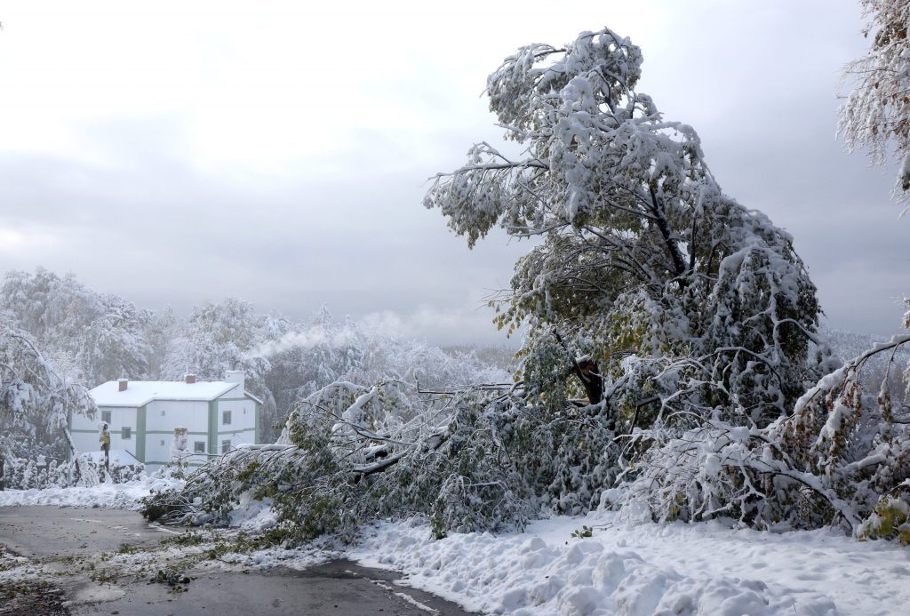 Click to enlarge snow