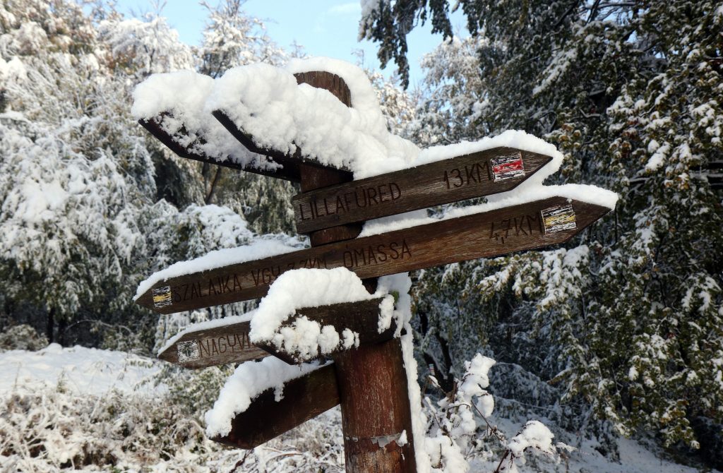 Click to enlarge snow