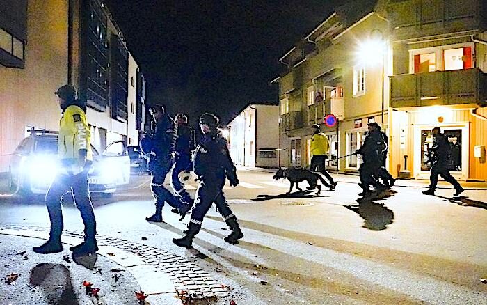 Click to enlarge Police walking