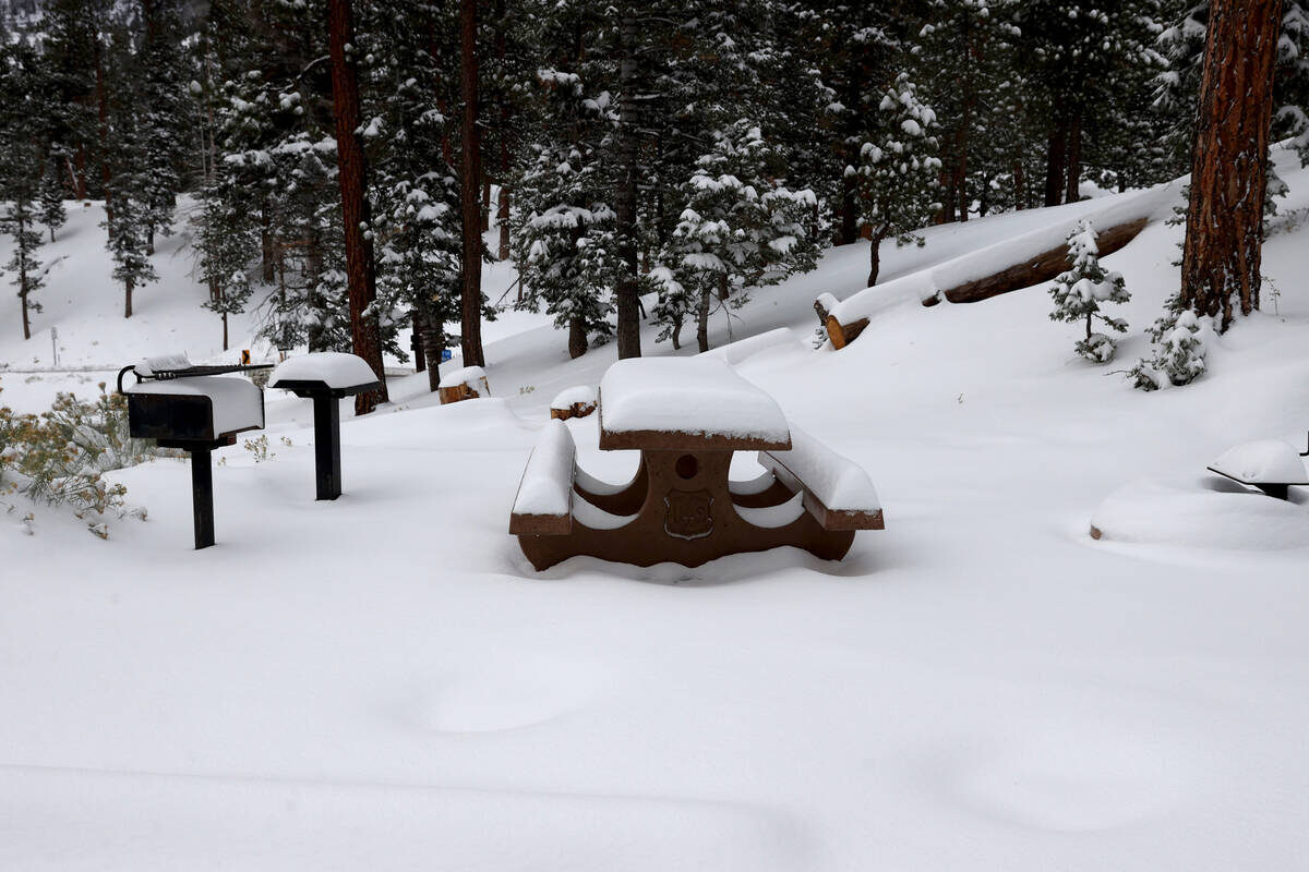 Freshly fallen show in Lee Canyon on Mount Charleston