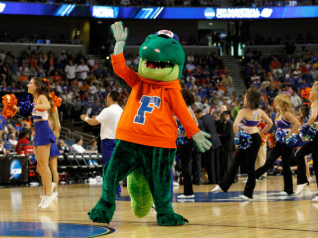 Click to enlarge Florida Gators mascot