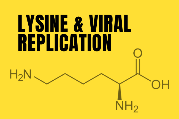 lysine viral replication