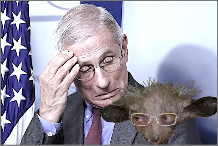 Click to enlarge Fauci and creature