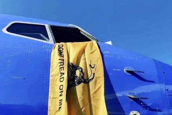 Click to enlarge southwest plane don't tread on me flag