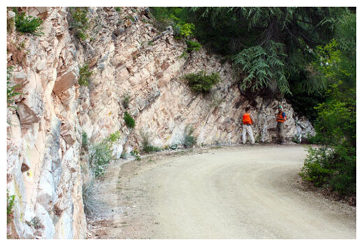 Click to enlarge Limestone exposed near Furlo, Italy