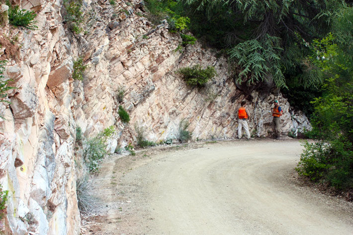 Click to enlarge Limestone exposed near Furlo, Italy