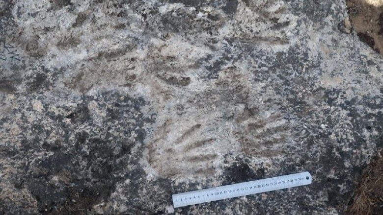 Click to enlarge Ancient Handprint