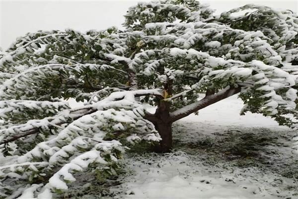 Click to enlarge SNOW