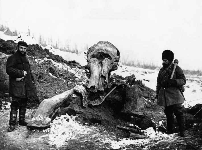 Click to enlarge mammoth