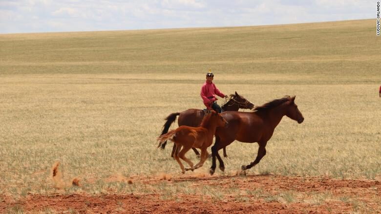 Click to enlarge Mongolia Horses
