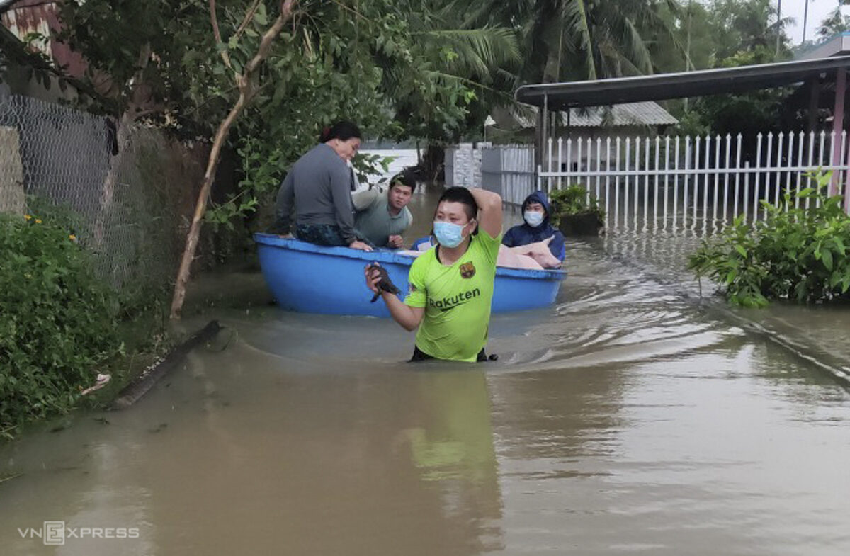 A family in Binh Son evacuates its pigs.