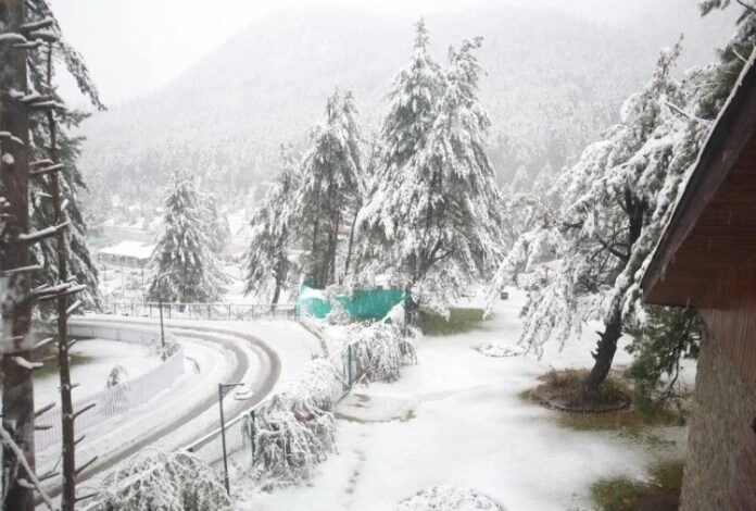 snow